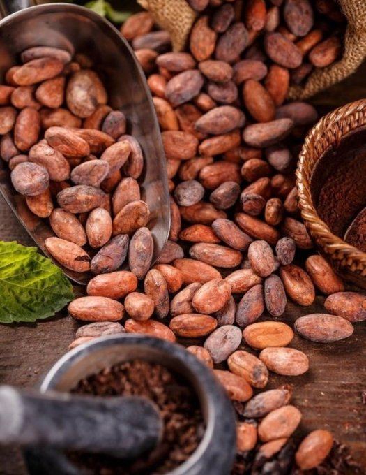 Cocoa Beans